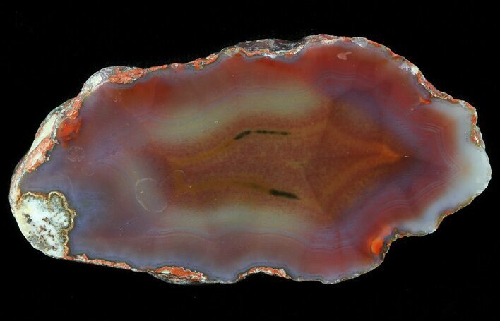 Beautiful Condor Agate From Argentina - Cut/Polished Face #79518